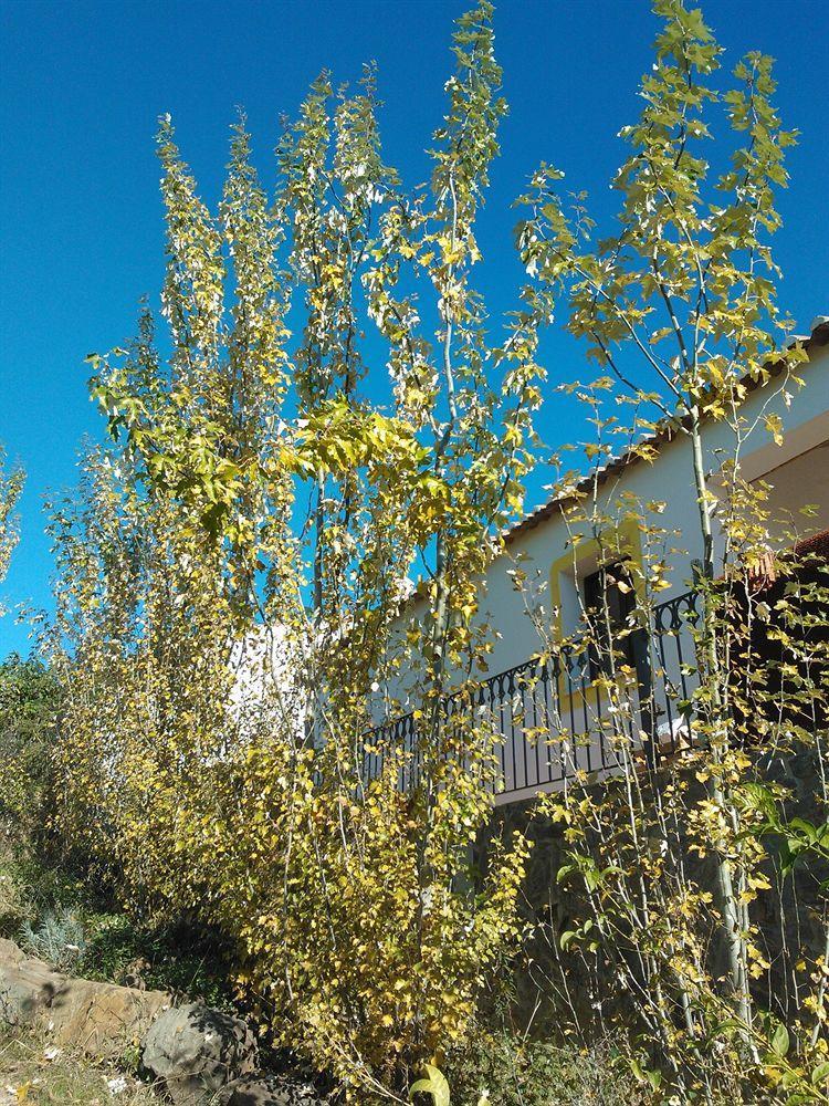 Penzion Casas Do Palheiro Velho Castro Marim Exteriér fotografie